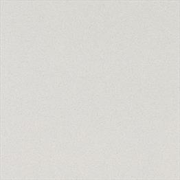 Axiom 6365 Paloma White